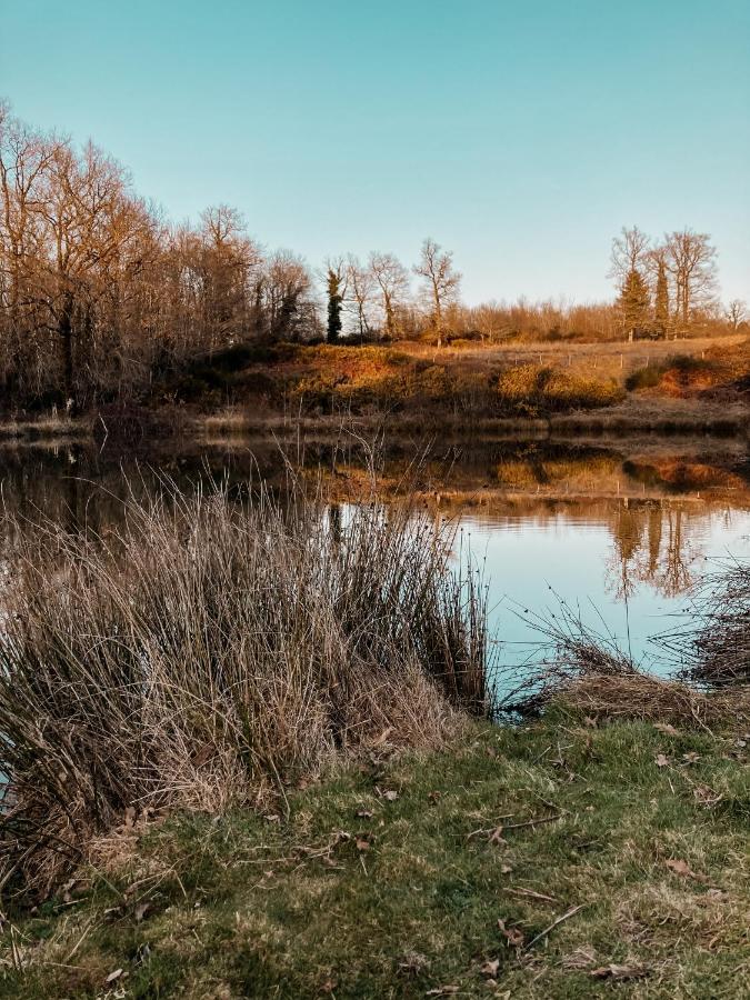 La Ferme Du Pont De Maumy, Cabane Au Bord De L'Etang Et Bain Nordique Busserolles Luaran gambar