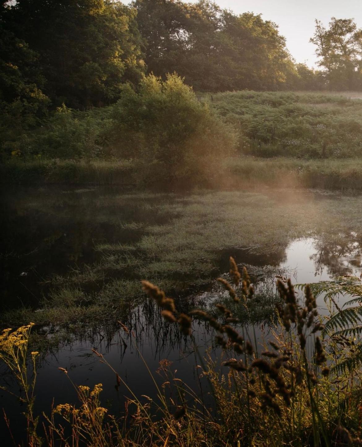 La Ferme Du Pont De Maumy, Cabane Au Bord De L'Etang Et Bain Nordique Busserolles Luaran gambar